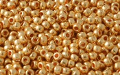 Seed Beads - 00276