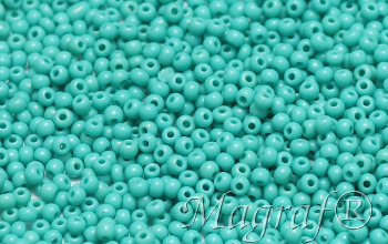 Seed Beads - 00999