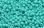Seed Beads - 00999