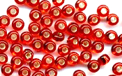 Seed Beads - 01003