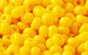 Seed Beads - 01033