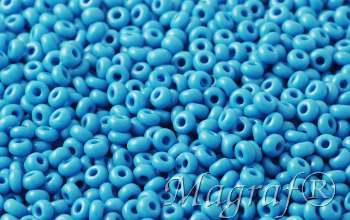 Seed Beads - 01039