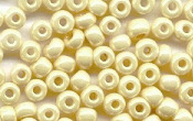 Seed Beads - 01649