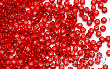 Seed Beads - 02164