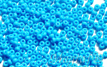 Seed Beads - 02231