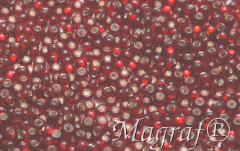 Seed Beads - 02233