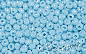 Seed Beads - 02311