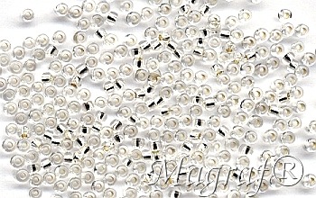 Seed Beads - 02459