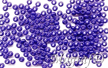 Seed Beads - 02501