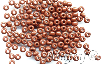 Seed Beads - 02506