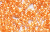 Bugle Beads - 02667