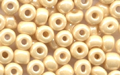 Seed Beads - 03234