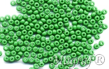 Seed Beads - 03467