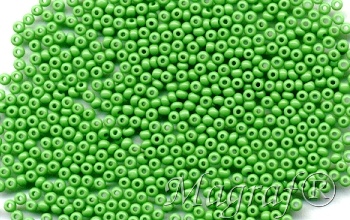 Seed Beads - 03581