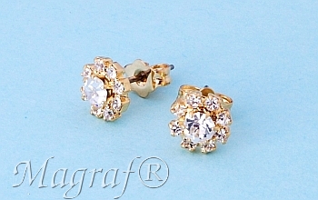 Strass Earrings - 03895