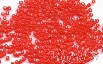 Seed Beads - 04250