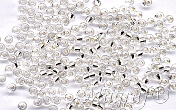 Seed Beads - 04251
