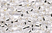 Seed Beads - 04251