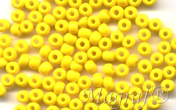 Seed Beads - 05667