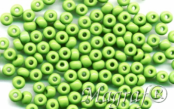 Seed Beads - 05677