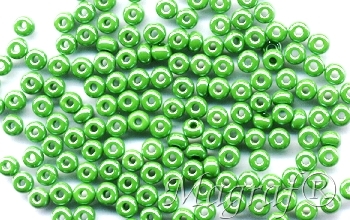 Seed Beads - 05982