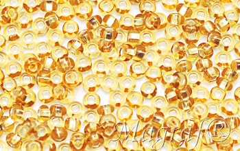 Seed Beads - 06269