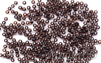 Seed Beads - 06276