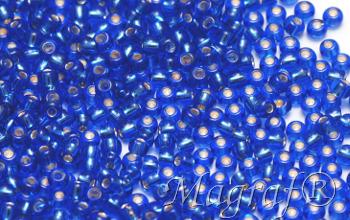 Seed Beads - 06279