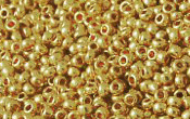 Seed Beads - 07663
