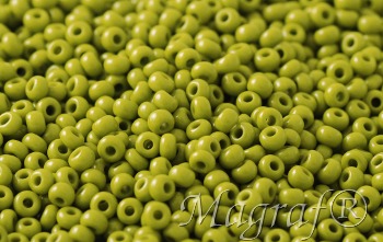 Seed Beads - 07668