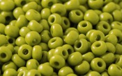Seed Beads - 07668