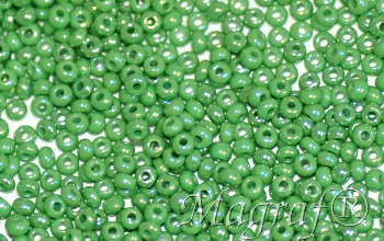 Seed Beads - 07973