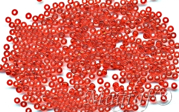 Seed Beads - 08307