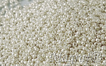 Seed Beads - 08329