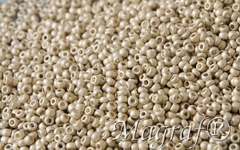 Seed Beads - 08553