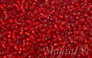 Seed Beads - 08825