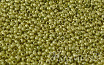 Seed Beads - 08837