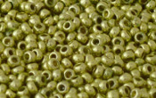 Seed Beads - 08837