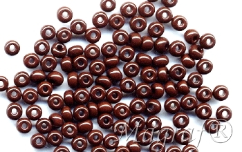 Seed Beads - 08838