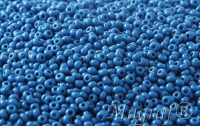 Seed Beads - 08848