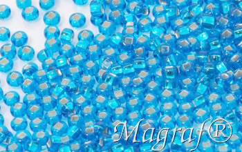 Seed Beads - 08851