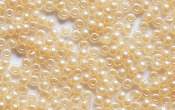 Seed Beads - 08854