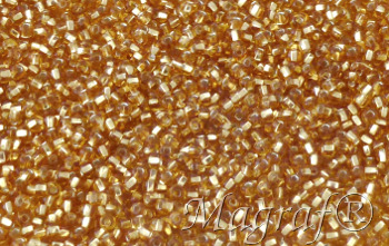 Seed Beads - 08872