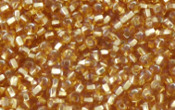 Seed Beads - 08872