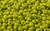 Seed Beads - 09022