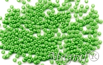 Seed Beads - 09189