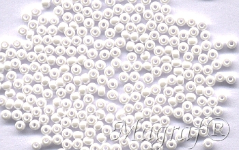 Seed Beads - 09904