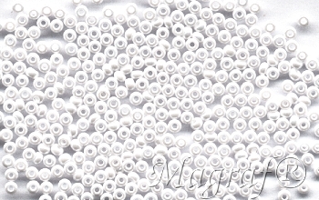 Seed Beads - 10364