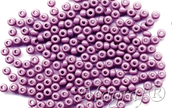 Seed Beads - 10489