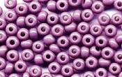 Seed Beads - 10489